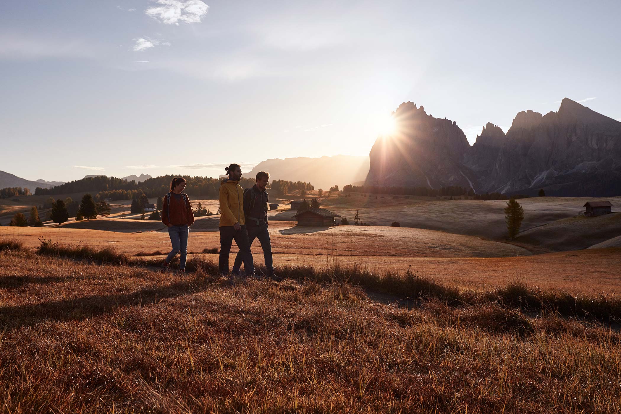 Autumn on the Alpe di Siusi - Seiser Alm